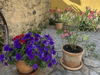 Casa de vacaciones Lesná u Tachova Grabación al aire libre 6
