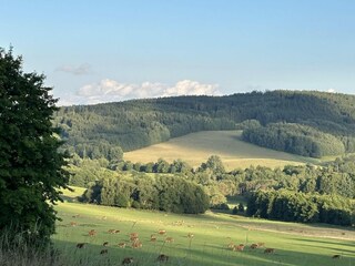 Casa per le vacanze Lesná u Tachova Ambiente 32