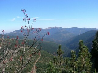 Vakantiehuis Rudnik Omgeving 25