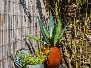 Maison de vacances Saint-Denis  40