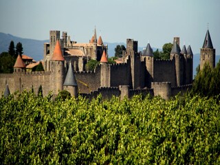 Vakantiehuis Saint-Denis Omgeving 35