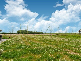 Casa de vacaciones Sint-Maartensdijk Entorno 37