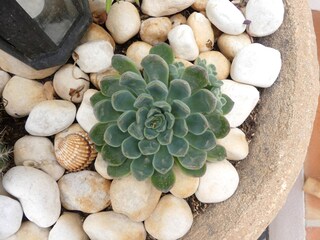 Casa per le vacanze Caleta de Vélez Registrazione all'aperto 15