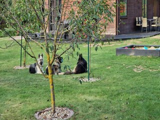 Casa per le vacanze Kołczewo Registrazione all'aperto 3