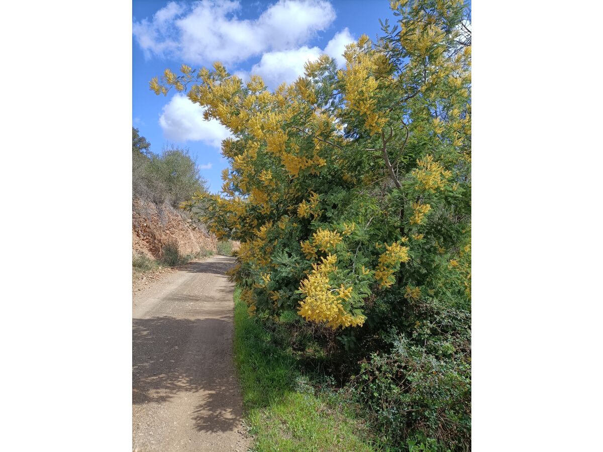 Alentejo hat viele wunderschöne Wanderwege