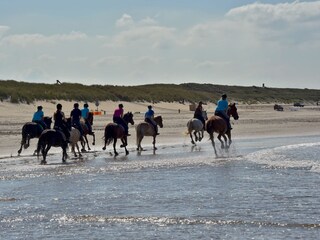 Bed & Breakfast Biggekerke Omgeving 28