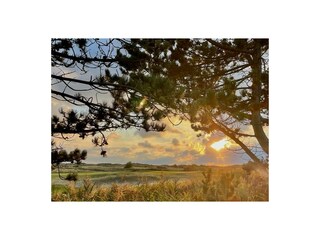 Casa per le vacanze De Cocksdorp Registrazione all'aperto 4