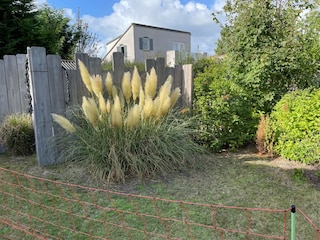 Hintergarten privat