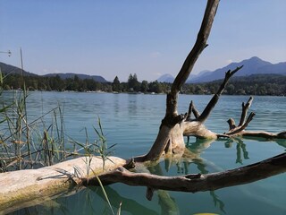 Appartamento per vacanze Arnoldstein Registrazione all'aperto 9