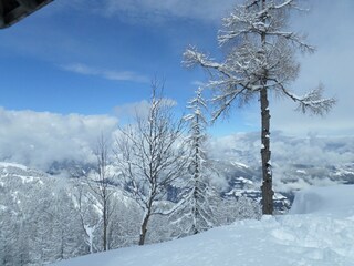 Appartamento per vacanze Arnoldstein Ambiente 40