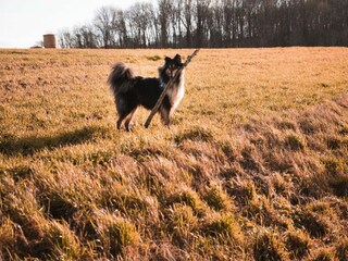 Casa per le vacanze Havelange Ambiente 34