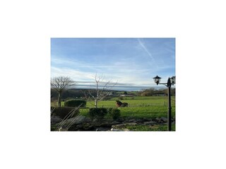 Vakantiehuis Havelange Buitenaudio-opname 8