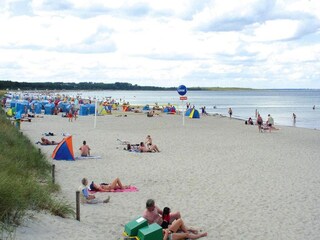 Vakantiehuis Zierow Omgeving 13