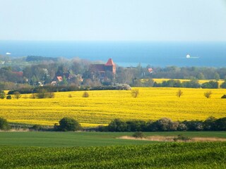Ferienhaus Zierow Umgebung 14