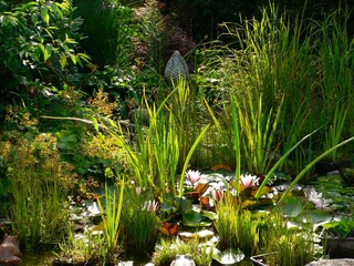Vakantiehuis Neuenkirchen in der Lüneburger Heide Buitenaudio-opname 7