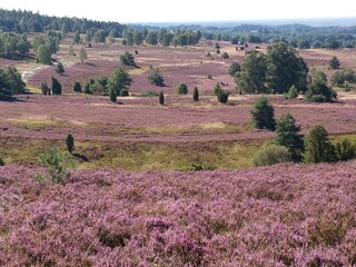 Vakantiehuis Neuenkirchen in der Lüneburger Heide Omgeving 32