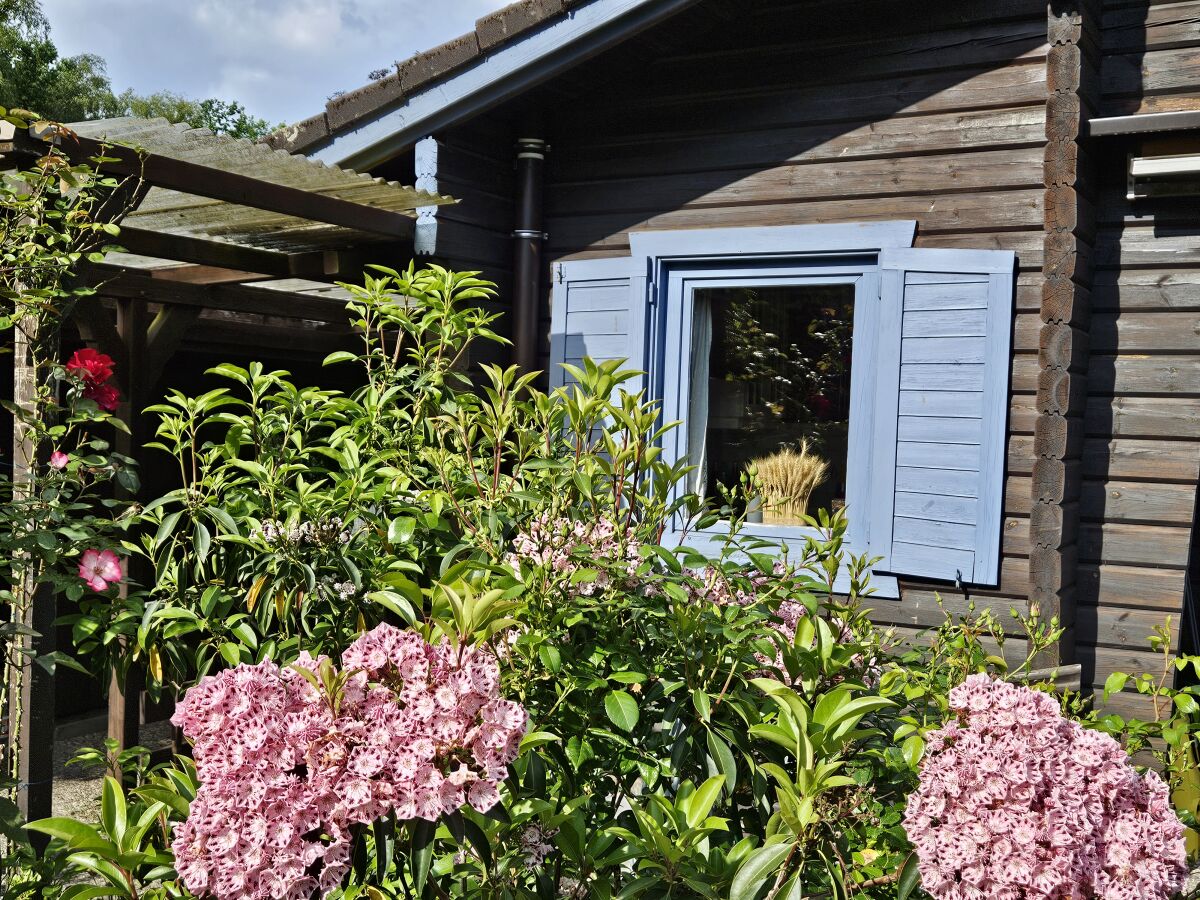 Holiday house Neuenkirchen in der Lüneburger Heide Outdoor Recording 1