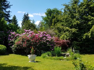 Holiday house Neuenkirchen in der Lüneburger Heide Outdoor Recording 2