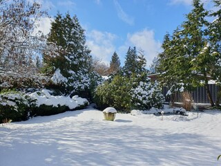 Vakantiehuis Neuenkirchen in der Lüneburger Heide Buitenaudio-opname 11
