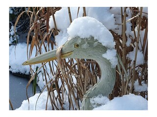 Vakantiehuis Neuenkirchen in der Lüneburger Heide Buitenaudio-opname 14