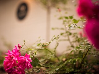 Appartamento per vacanze Dresden-Loschwitz Registrazione all'aperto 6