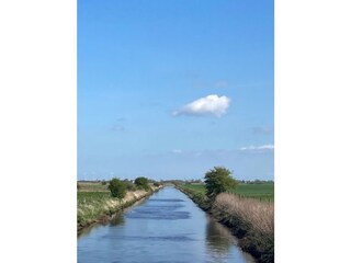 Vakantiehuis Dornum Omgeving 19