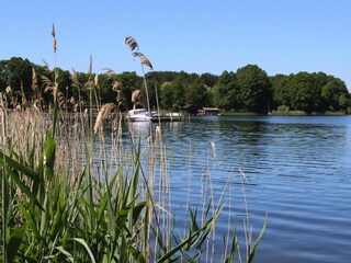 Vakantiehuis Luhme Omgeving 28
