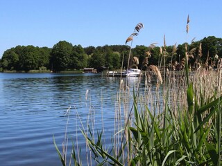 Vakantiehuis Luhme Omgeving 30