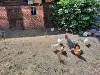 Ferienhaus Luhme Umgebung 28