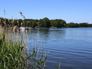 Vakantiehuis Luhme Omgeving 25