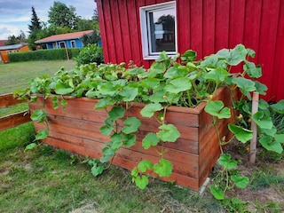 Holiday house Luhme Outdoor Recording 3