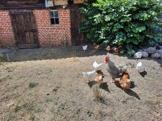 Ferienhaus Luhme Umgebung 23