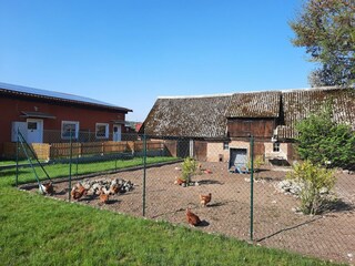 Vakantiehuis Luhme Omgeving 24