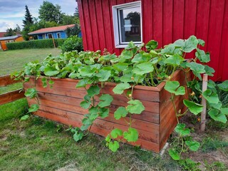 Casa de vacaciones Luhme Grabación al aire libre 6