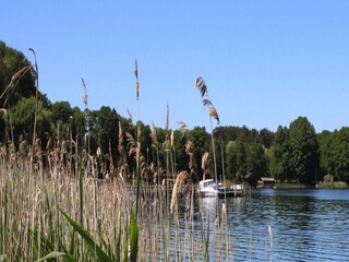 Vakantiehuis Luhme  28