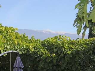 Ferienhaus Mormoiron Umgebung 37