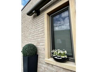 Appartement de vacances Dangast Équipement 27