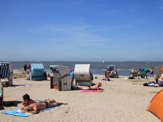 Appartement de vacances Dangast Environnement 30