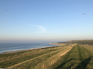 Appartamento per vacanze Herkingen Ambiente 21