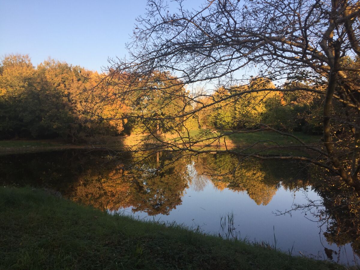 Schloßteich im Herbst