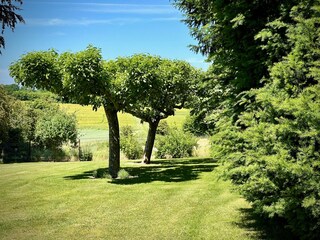Apartamento de vacaciones Prasdorf Grabación al aire libre 10