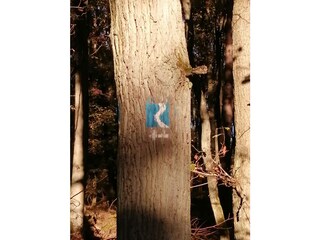 marker Rheinsteig