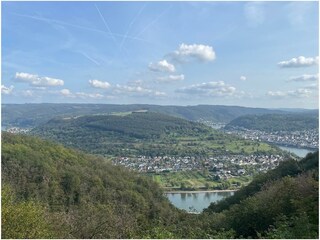 Vakantieappartement Kamp-Bornhofen Omgeving 33