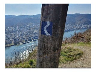 Apartamento de vacaciones Kamp-Bornhofen Entorno 36