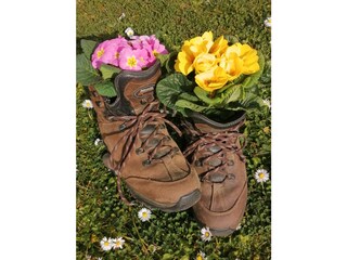 Appartamento per vacanze Kamp-Bornhofen Ambiente 36