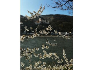 Appartamento per vacanze Kamp-Bornhofen Ambiente 37