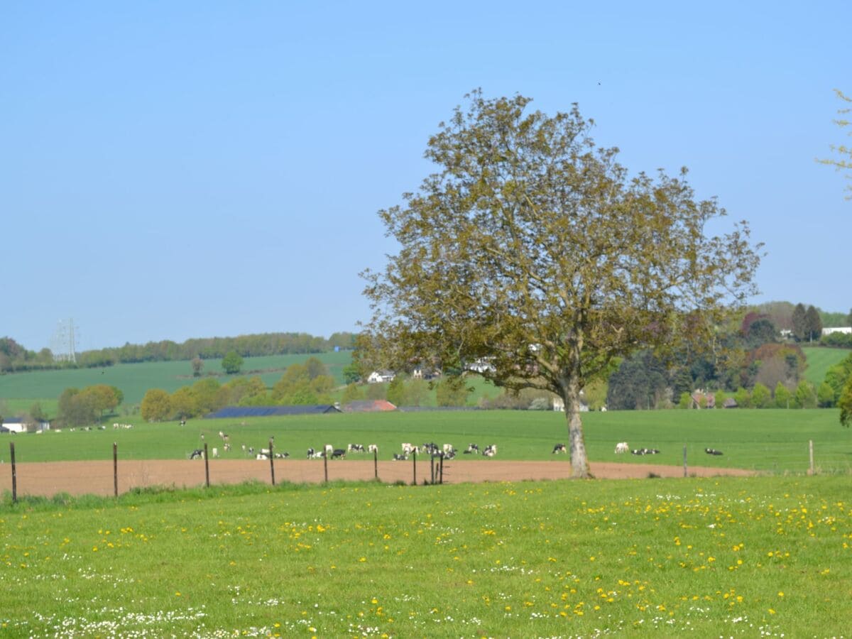 Bauernhof Walem Umgebung 13