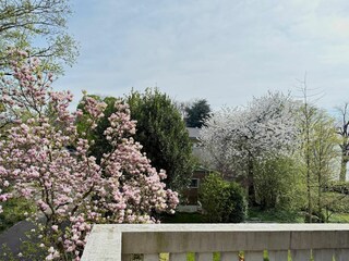 Ferienwohnung Nonnenhorn Außenaufnahme 15
