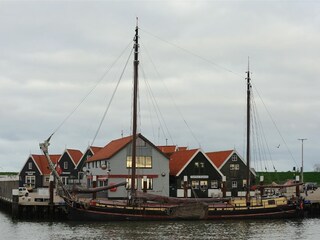 Ferienhaus De Cocksdorp Umgebung 25