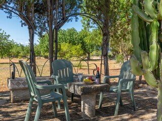 Villa Santa Maria del Camí Registrazione all'aperto 19